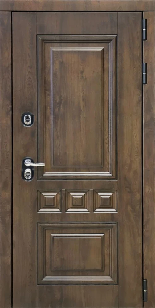 Входная дверь ДвериПРО Аура Без фрезеровки Дуб пацифик горизонт DPRO226471 внешняя сторона